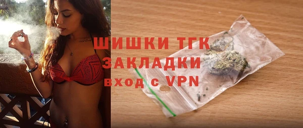 крисы Богородицк