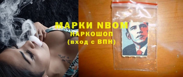 крисы Богородицк