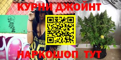 СК Ставрополь