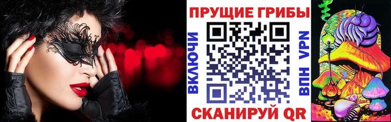 blacksprut ССЫЛКА  Северск  Галлюциногенные грибы ЛСД  дарнет шоп 