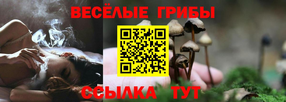 Псилоцибиновые грибы мухоморы  Галлюциногенные грибы мухоморы  Вход с VPN  Северск 