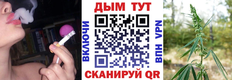 Конопля сатива  Северск 